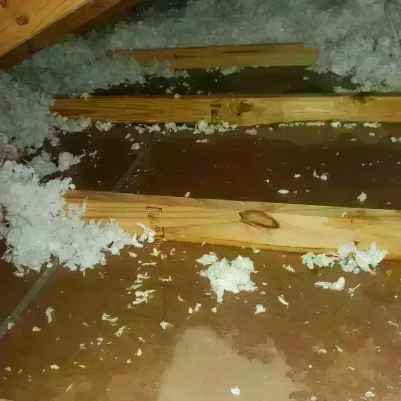 Attic Water Damage in Liberty, KY